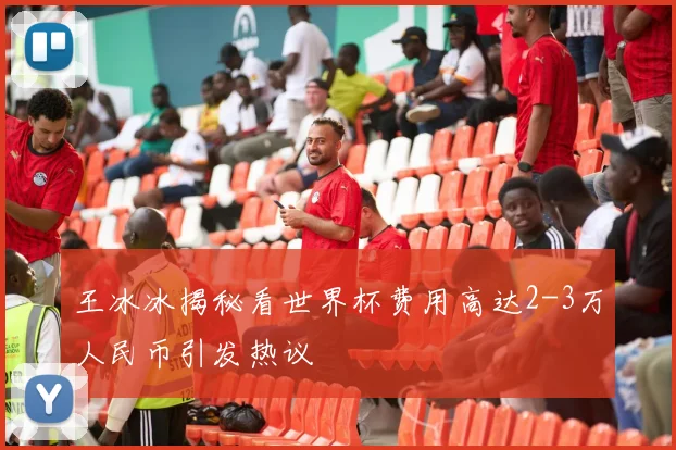 王冰冰揭秘看世界杯费用高达2-3万人民币引发热议